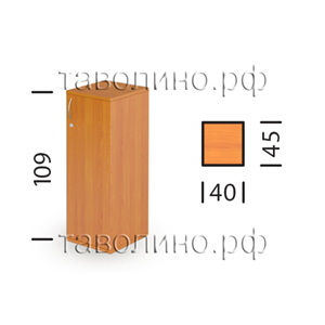 Эрго Ш42-04 Rз/Lз | Шкаф закрытый узкий 40х45х109