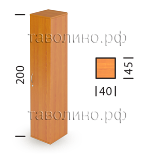 Эрго Ш61-04 Rз/Lз | Гардероб (шкаф для одежды) узкий 40х45х200
