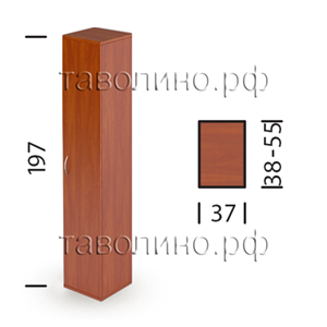 Фанта ШЗ-04 | Узкий закрытый офисный шкаф 37х38х197, 37х55х197